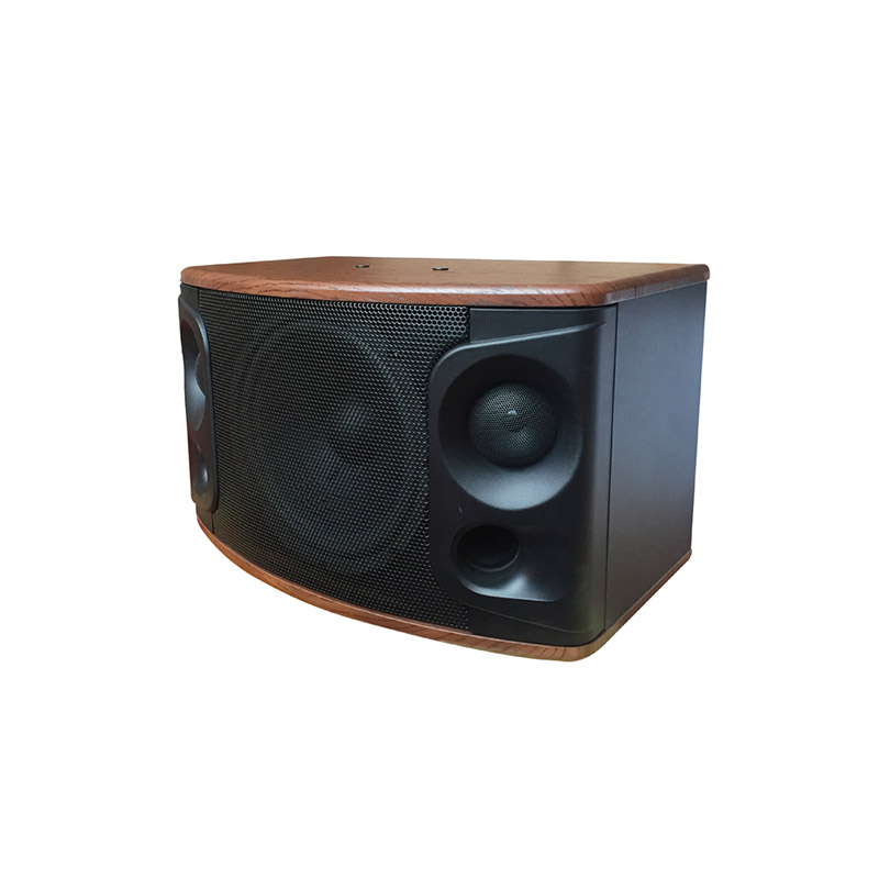 娛樂(lè )系列 K-510