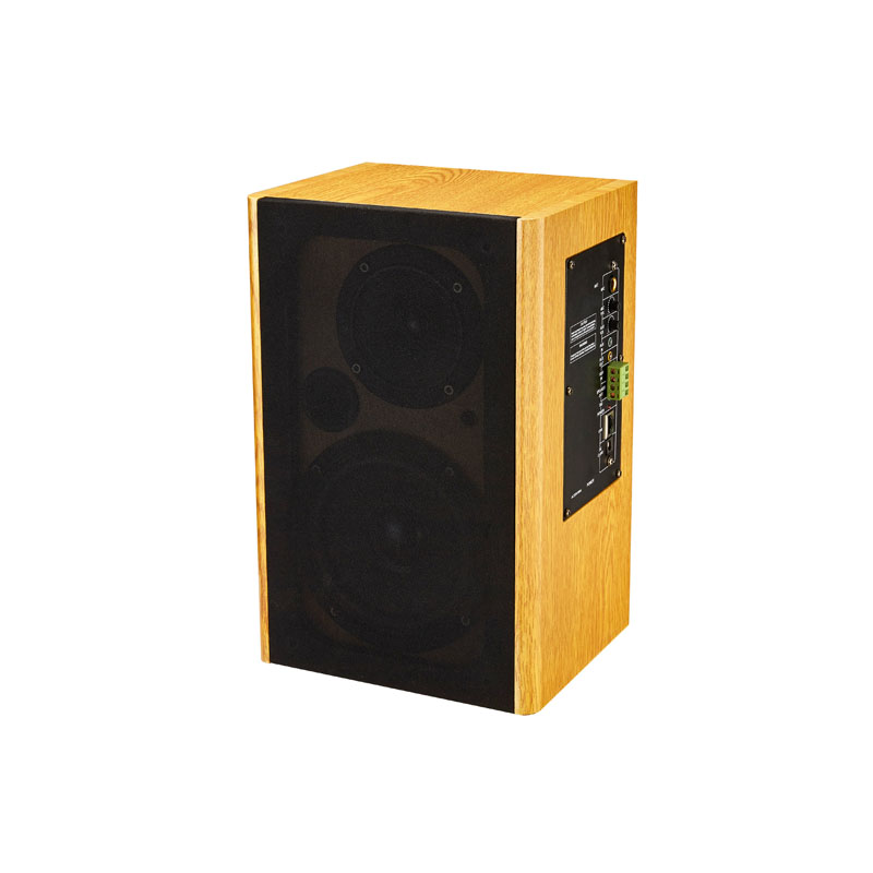 IP網(wǎng)絡(luò )監聽(tīng)音箱