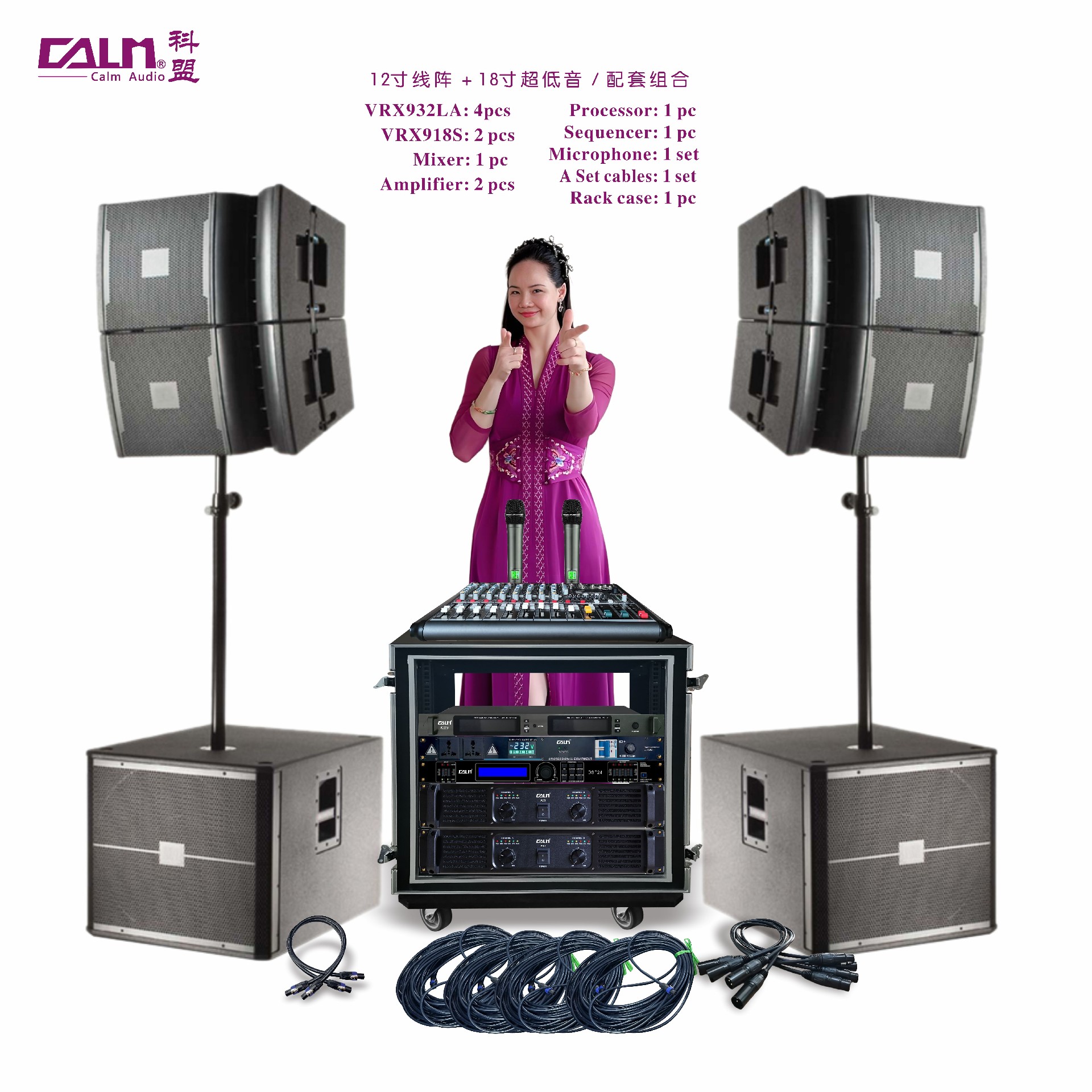 12寸線(xiàn)陣+18寸超低 配套組合