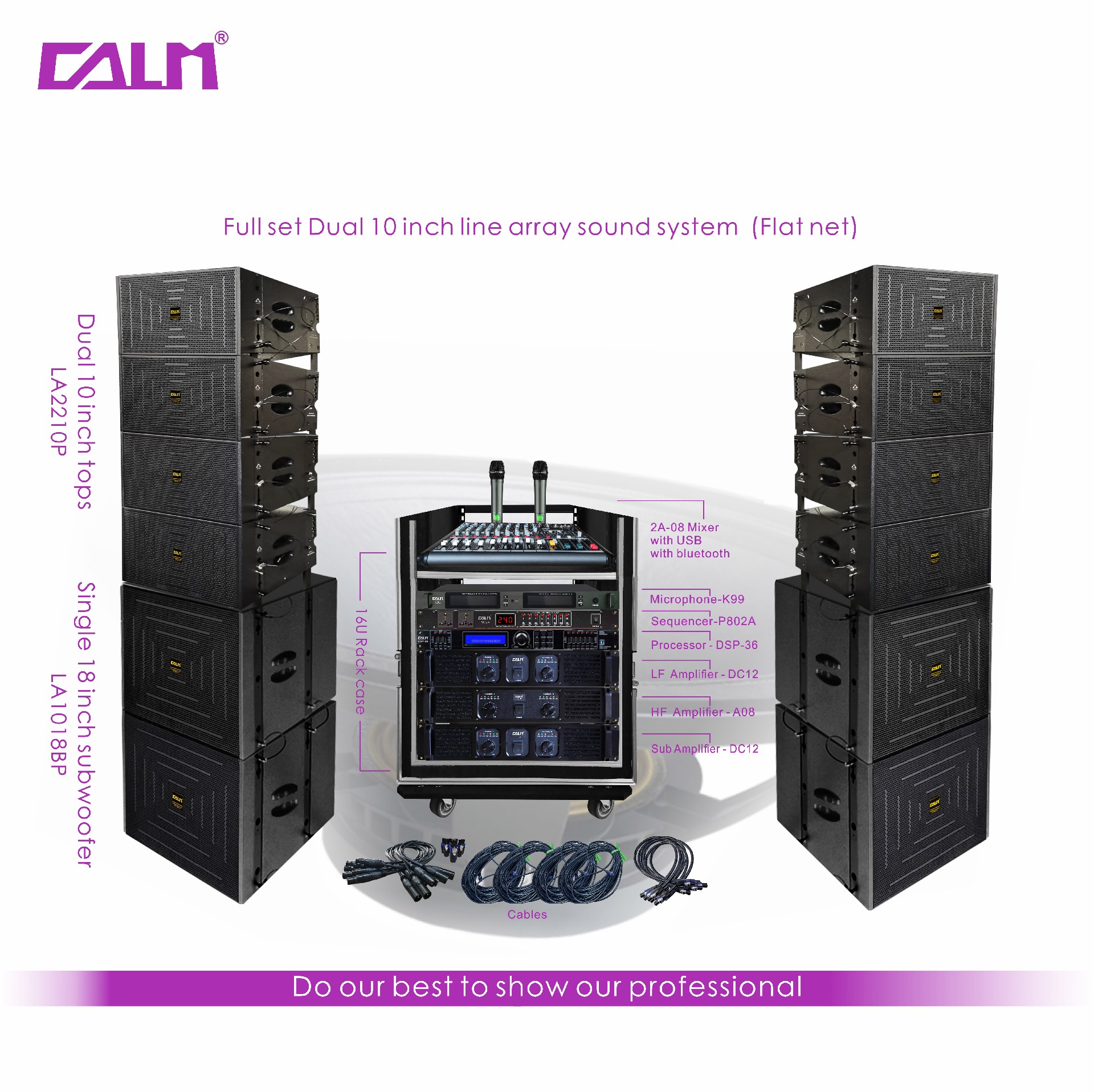 （line 9）全套雙10寸線(xiàn)陣組合 LA2210P（新鐵網(wǎng)） + LA1018BP