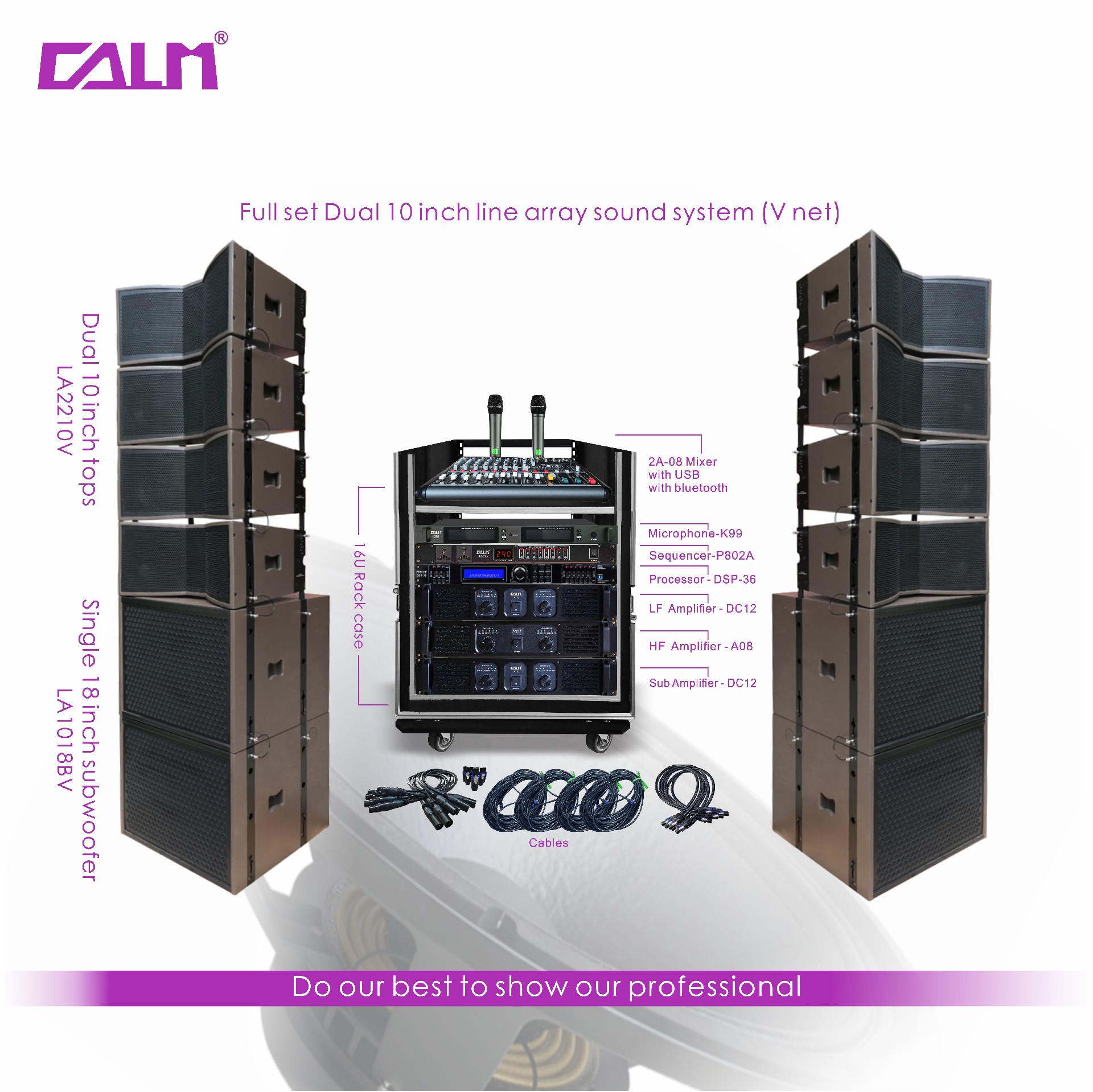 Full set Dual 10inch line array sound system (V net)